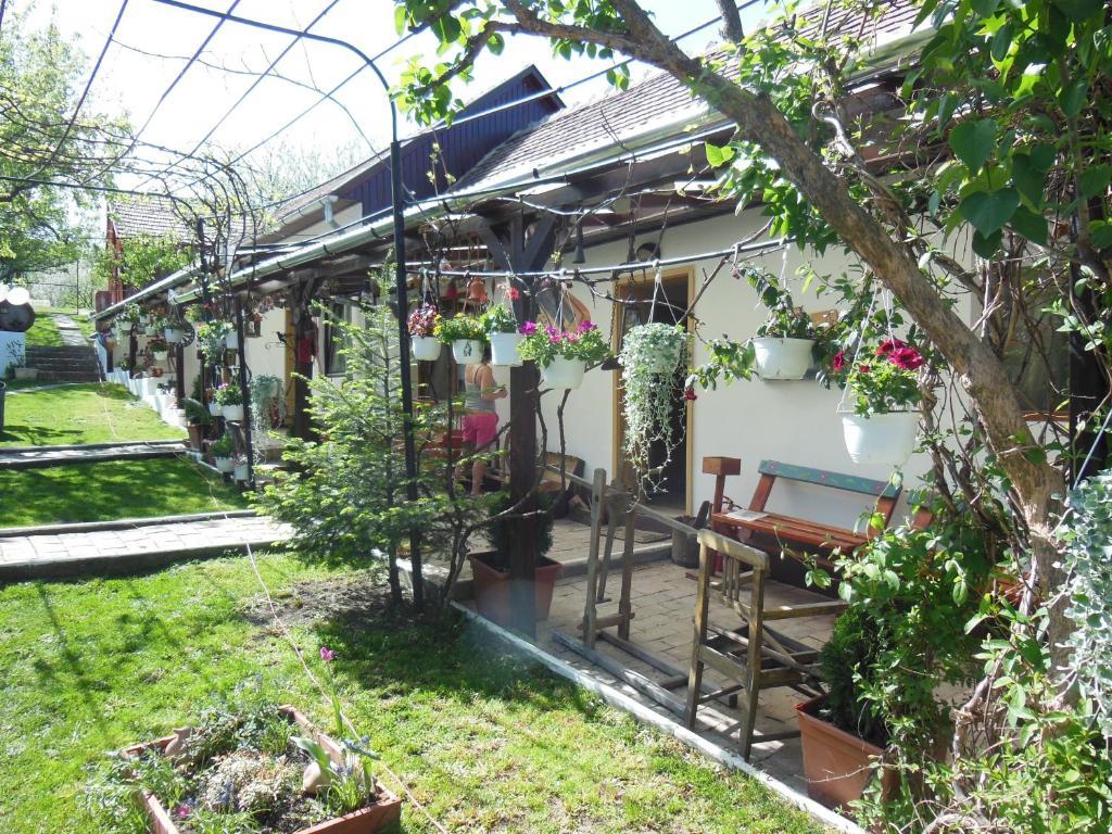 巴兹纳 巴森旅馆酒店 外观 照片