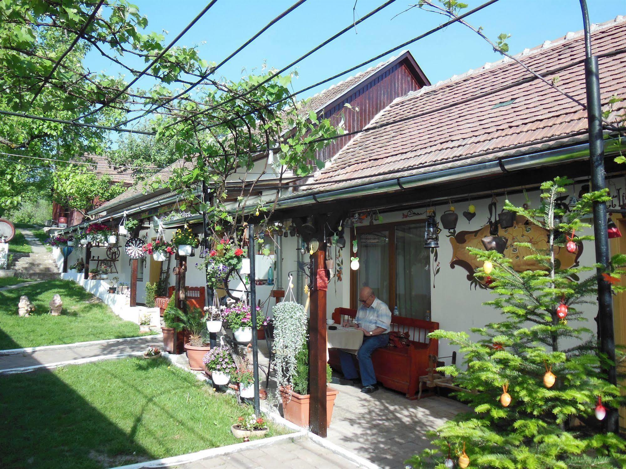 巴兹纳 巴森旅馆酒店 外观 照片